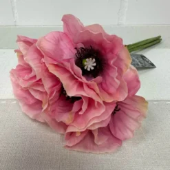 Anemonen Bund Ainara rosa