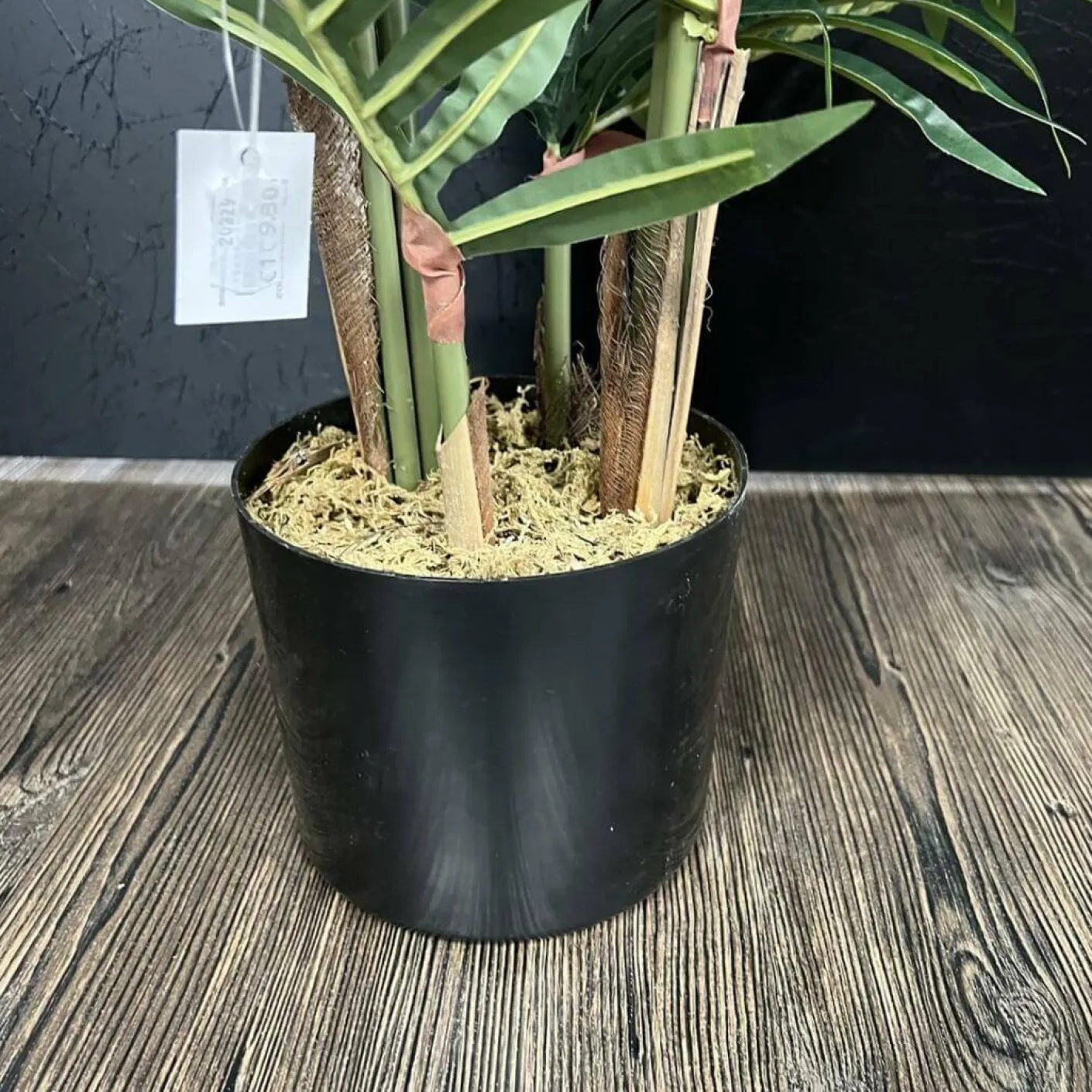 Areca Palme künstlich getopft