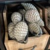Baobab Frucht medium “Spiral” 5er Beutel