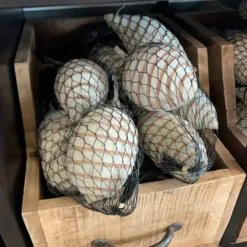 Baobab Frucht medium “Spiral” 5er Beutel