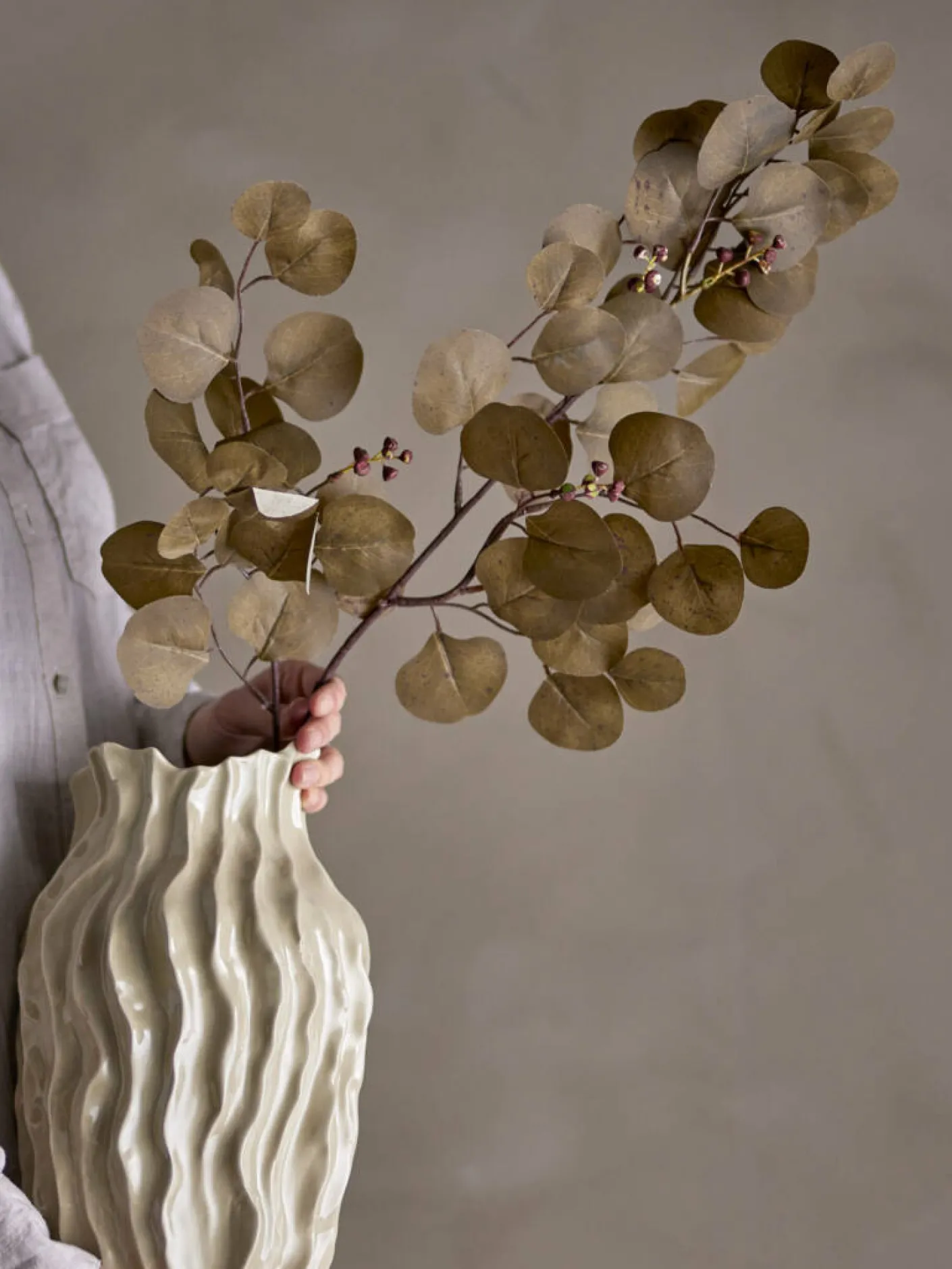 Eucalyptus Stiel braun