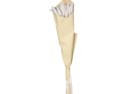 Fleur getrocknete Lagurusblumen