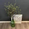 Frühlingszweig