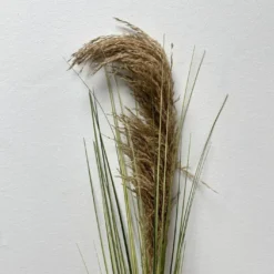 Gras Stiel mit Wedel