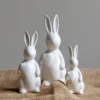 Hase Olivia