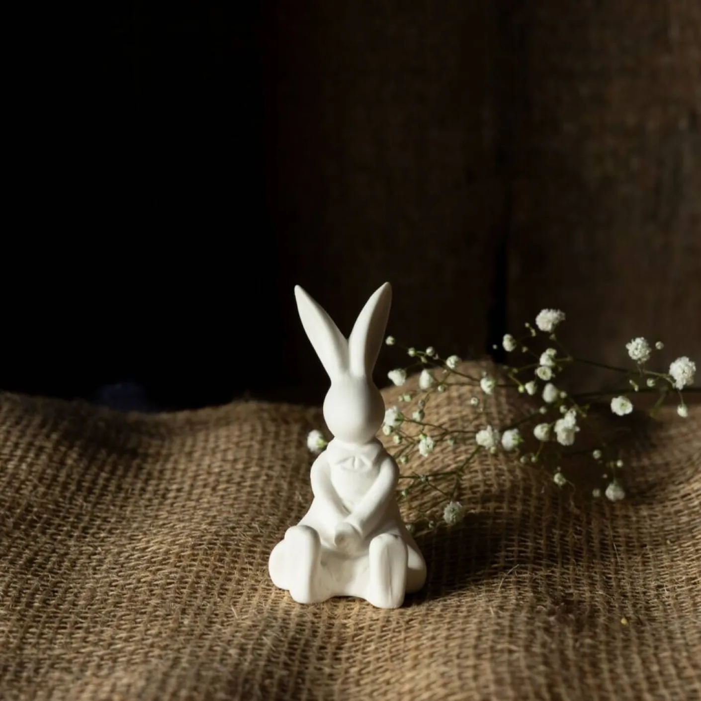 Hase Sally