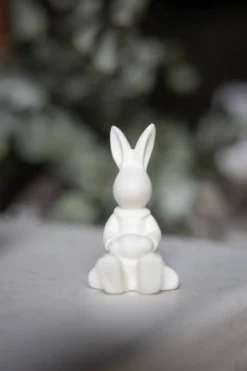 Hase Signe