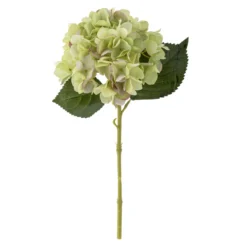 Hortensien Stiel 1 Blüte