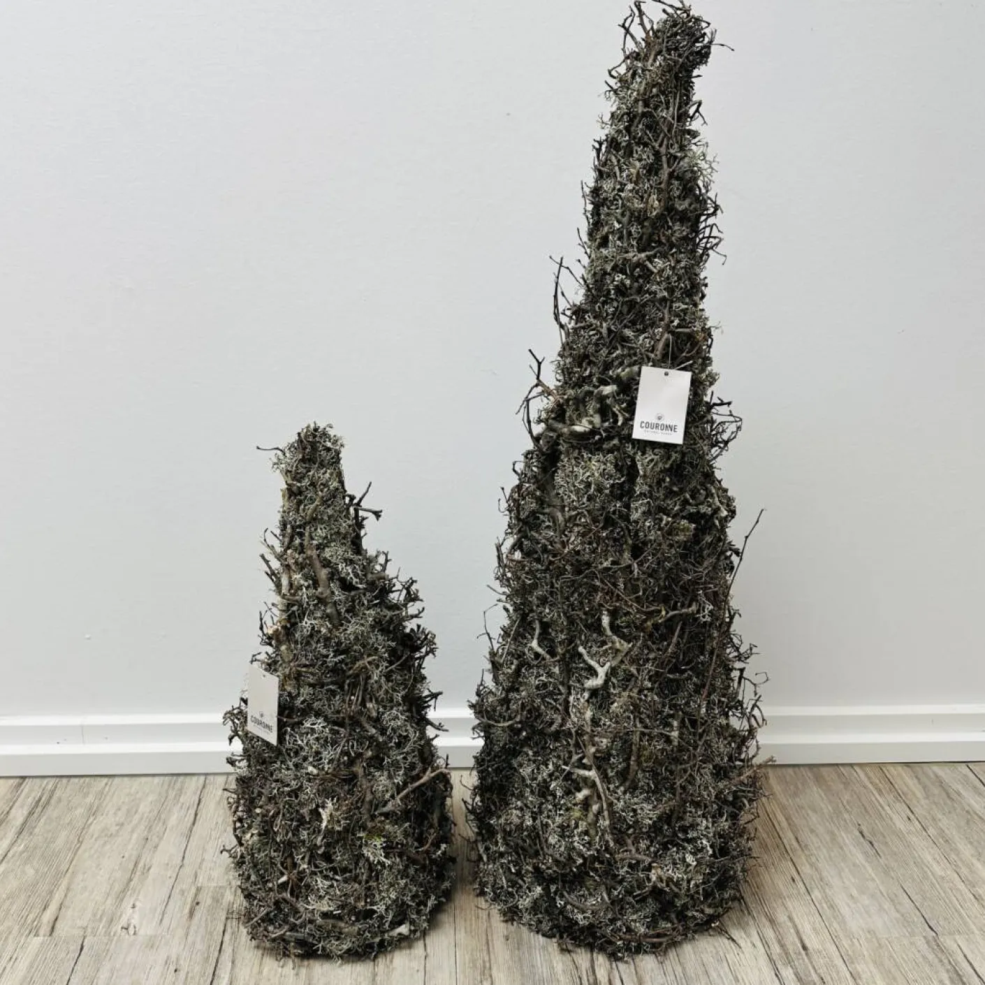 Kegelbaum grau
