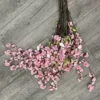 Kirschblütenzweig Gala pink