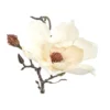 Magnolien Zweig cream