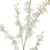 Orchid Stiel weiß