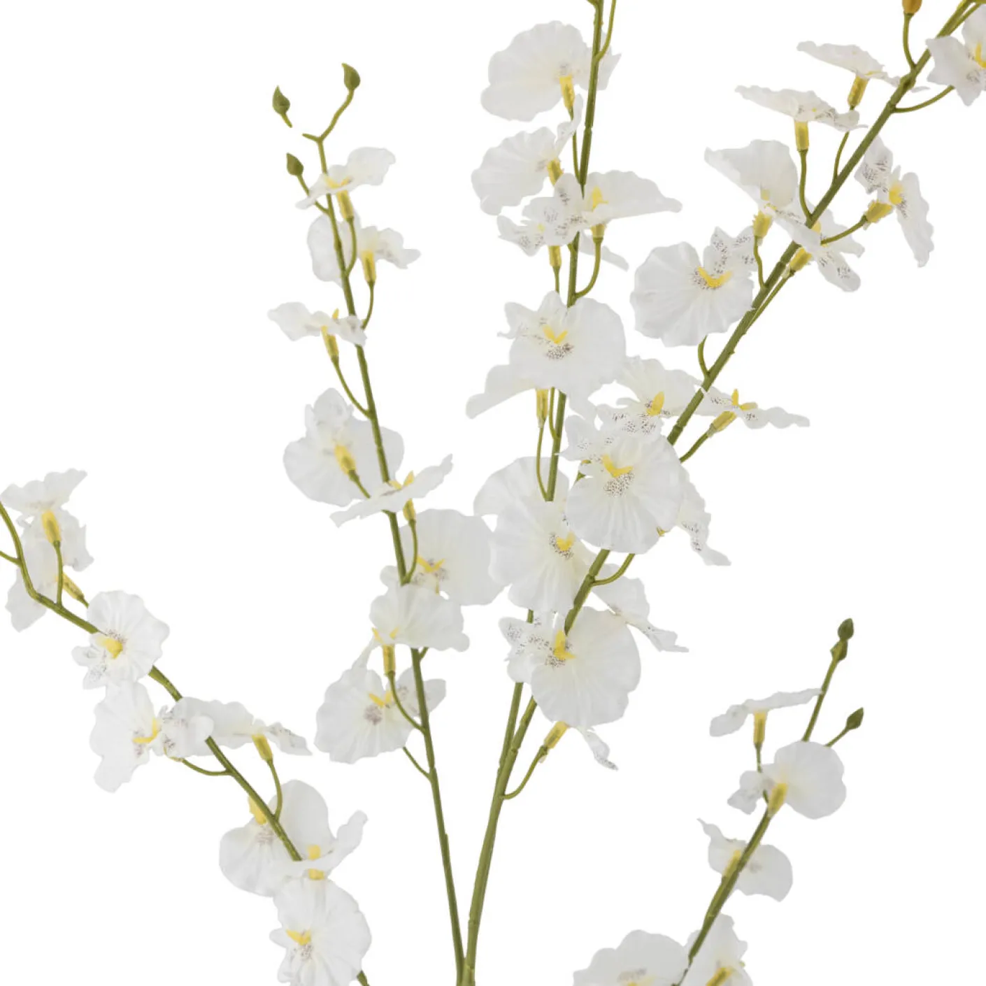 Orchid Stiel weiß