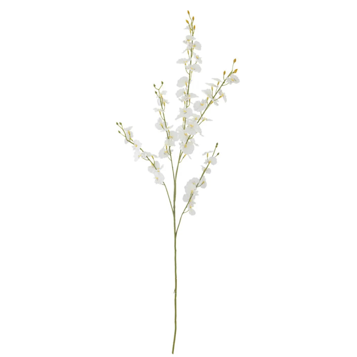 Orchid Stiel weiß