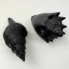 Poly Muschel Ignaz schwarz