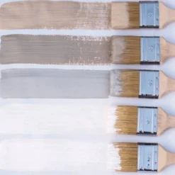 Premium Wall Paint