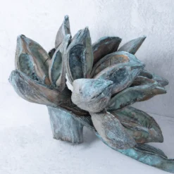 Sororoca Frucht aqua