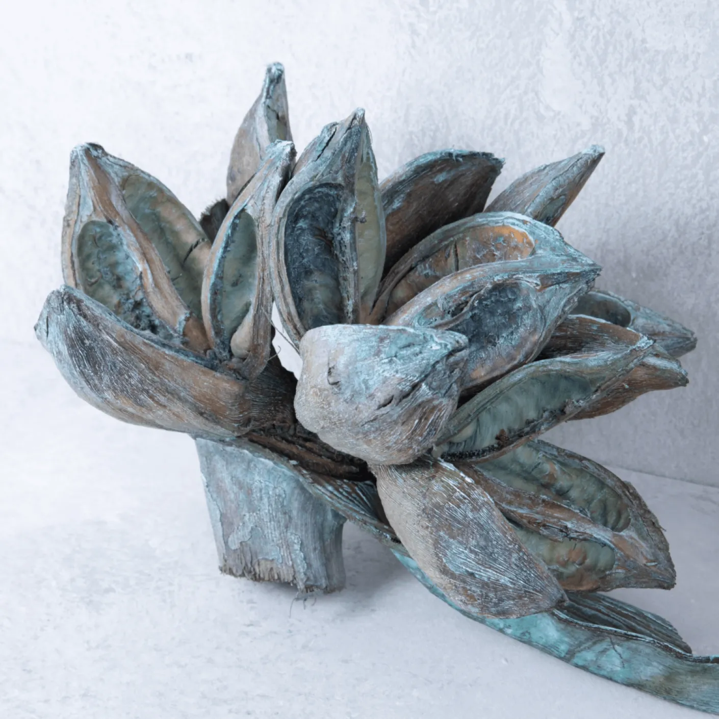 Sororoca Frucht aqua