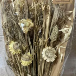 Trockenblumenstrauß beige
