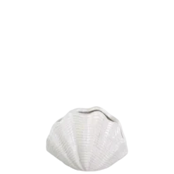 Vase Muschel mittel