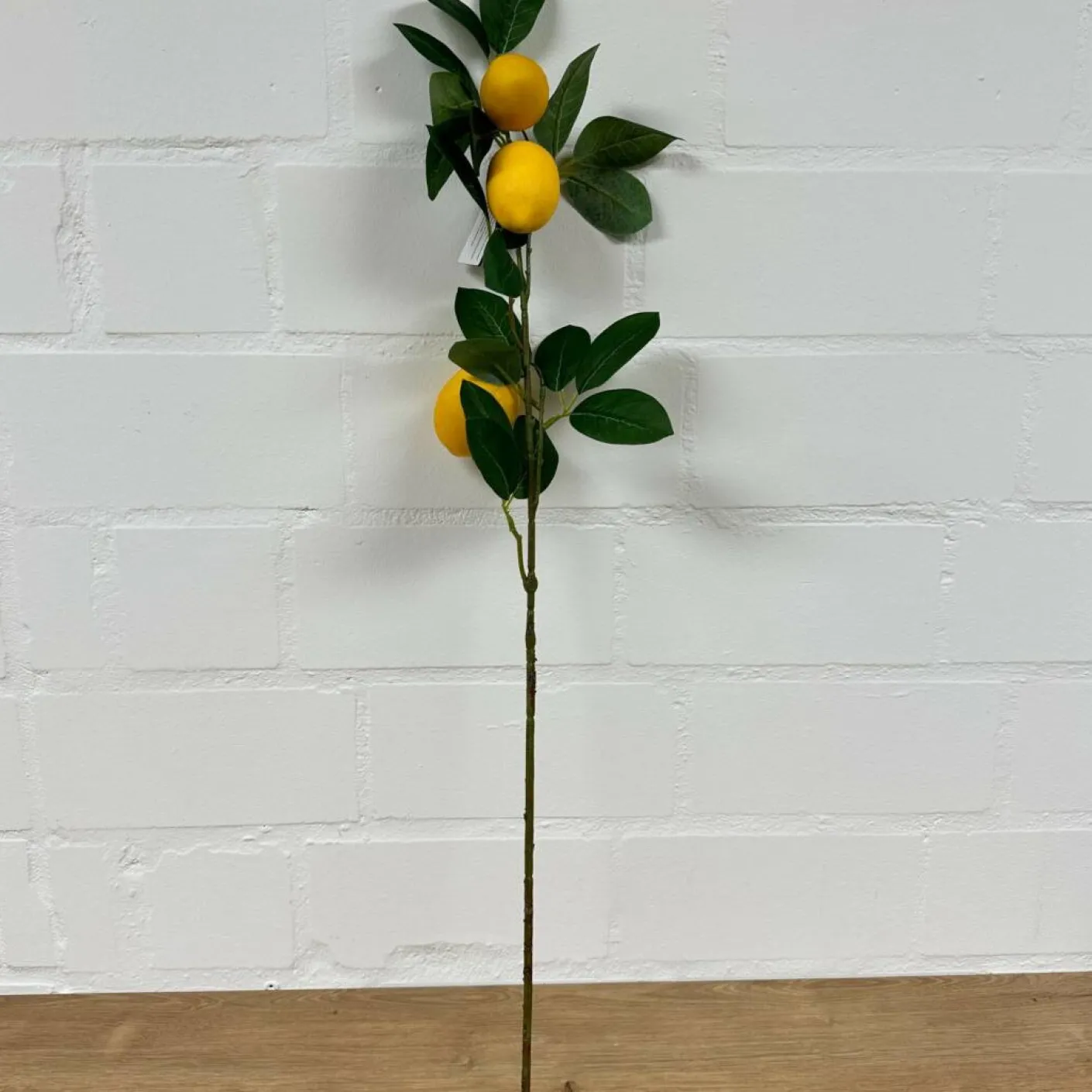 Zitronen Zweig Lemon